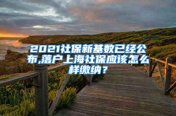 2021社保新基数已经公布,落户上海社保应该怎么样缴纳？