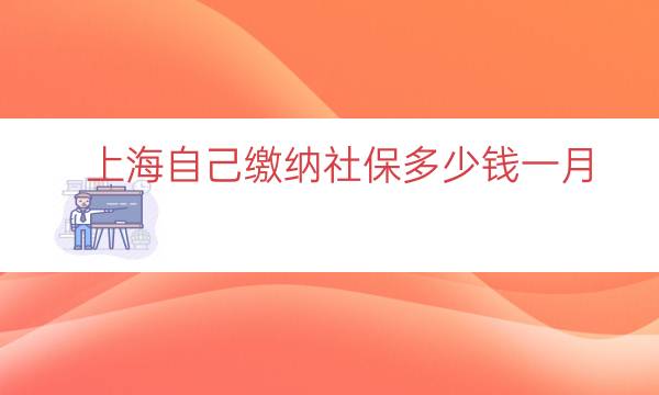 上海自己缴纳社保多少钱一月（上海自己交社保多少钱）