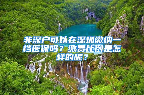 非深户可以在深圳缴纳一档医保吗？缴费比例是怎样的呢？