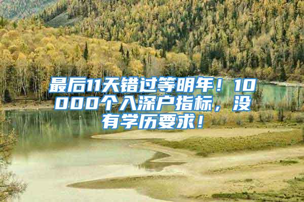 最后11天错过等明年！10000个入深户指标，没有学历要求！