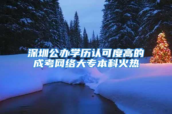 深圳公办学历认可度高的成考网络大专本科火热