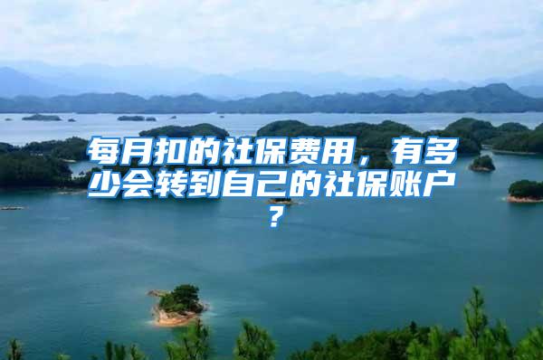 每月扣的社保费用，有多少会转到自己的社保账户？