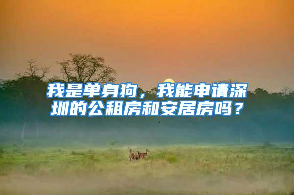 我是单身狗，我能申请深圳的公租房和安居房吗？