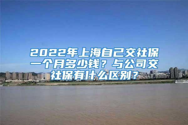 2022年上海自己交社保一个月多少钱？与公司交社保有什么区别？