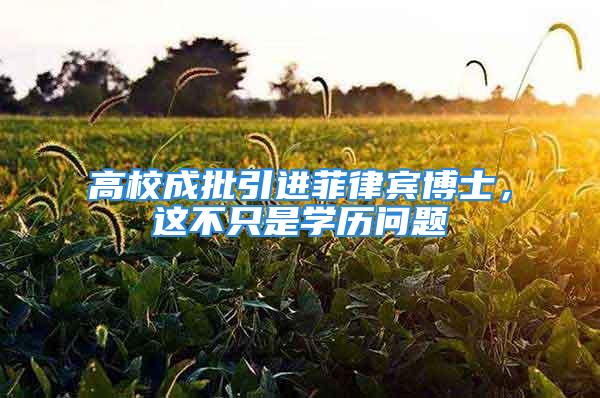 高校成批引进菲律宾博士，这不只是学历问题