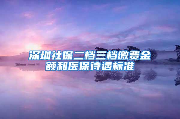 深圳社保二档三档缴费金额和医保待遇标准