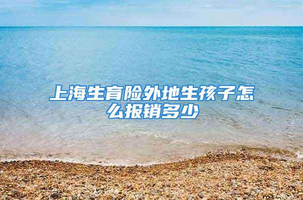 上海生育险外地生孩子怎么报销多少