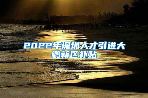 2022年深圳人才引进大鹏新区补贴