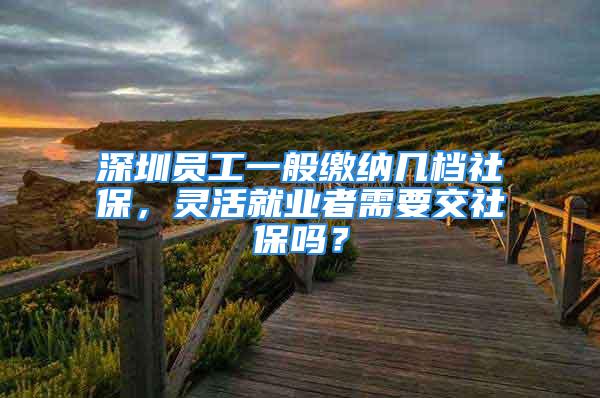 深圳员工一般缴纳几档社保，灵活就业者需要交社保吗？