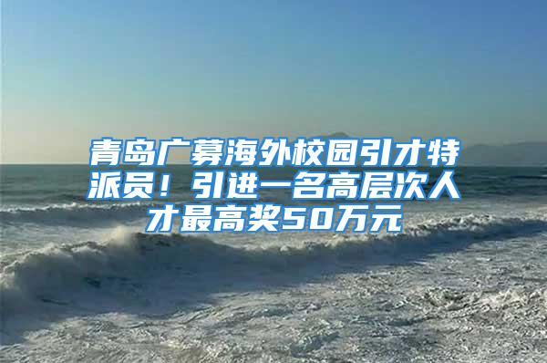 青岛广募海外校园引才特派员！引进一名高层次人才最高奖50万元