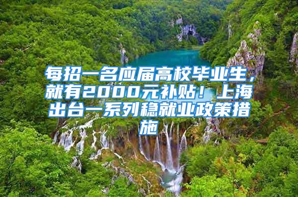 每招一名应届高校毕业生，就有2000元补贴！上海出台一系列稳就业政策措施