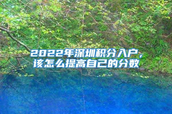 2022年深圳积分入户，该怎么提高自己的分数