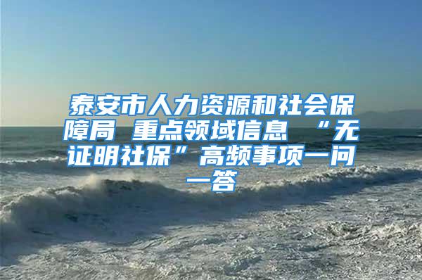 泰安市人力资源和社会保障局 重点领域信息 “无证明社保”高频事项一问一答