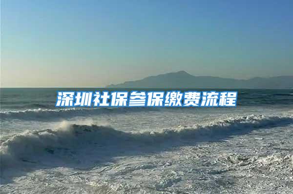 深圳社保参保缴费流程