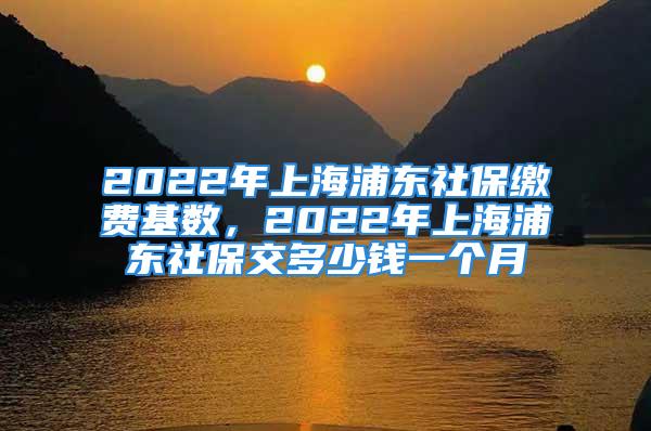 2022年上海浦东社保缴费基数，2022年上海浦东社保交多少钱一个月