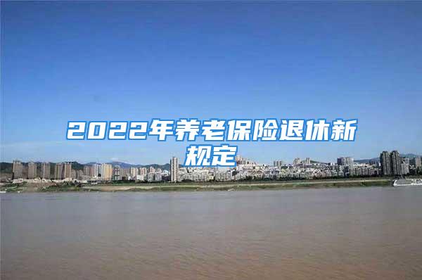 2022年养老保险退休新规定