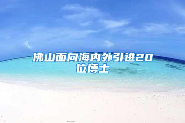 佛山面向海内外引进20位博士