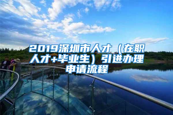 2019深圳市人才（在职人才+毕业生）引进办理申请流程