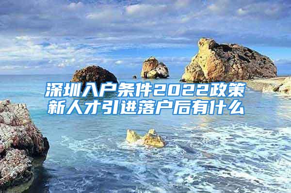 深圳入户条件2022政策新人才引进落户后有什么