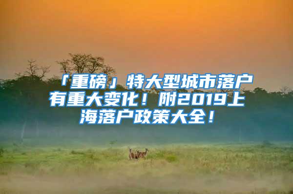 「重磅」特大型城市落户有重大变化！附2019上海落户政策大全！