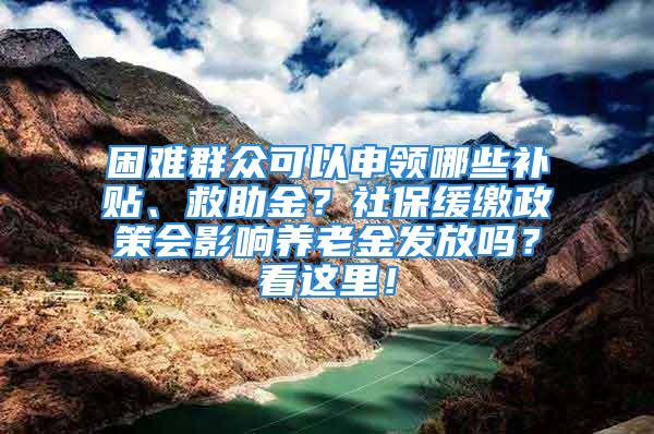 困难群众可以申领哪些补贴、救助金？社保缓缴政策会影响养老金发放吗？看这里！