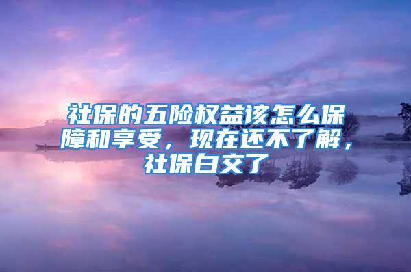 社保的五险权益该怎么保障和享受，现在还不了解，社保白交了