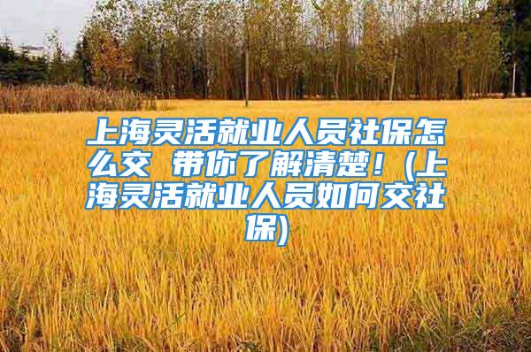 上海灵活就业人员社保怎么交 带你了解清楚！(上海灵活就业人员如何交社保)