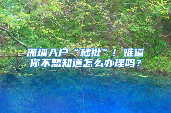 深圳入户“秒批”! 难道你不想知道怎么办理吗？