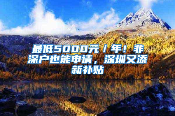 最低5000元／年！非深户也能申请，深圳又添新补贴