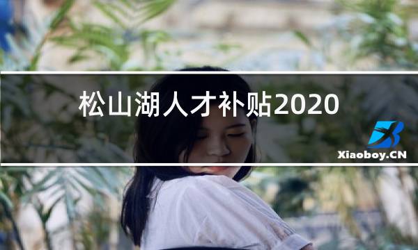 松山湖人才补贴2020年12月最后一批什么时候拨款图片