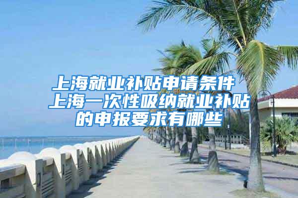 上海就业补贴申请条件 上海一次性吸纳就业补贴的申报要求有哪些