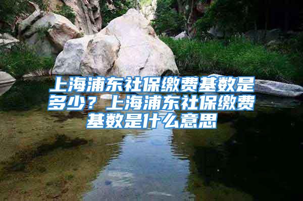 上海浦东社保缴费基数是多少？上海浦东社保缴费基数是什么意思