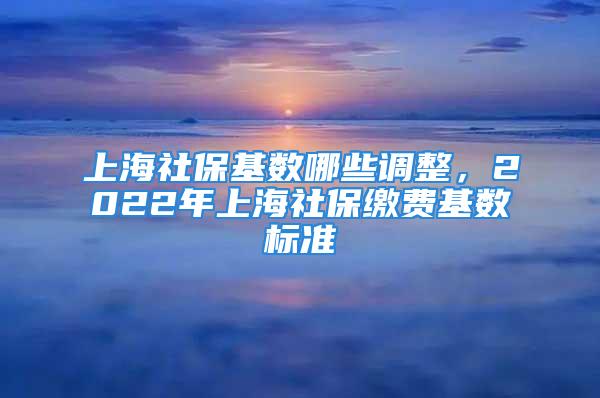 上海社保基数哪些调整，2022年上海社保缴费基数标准