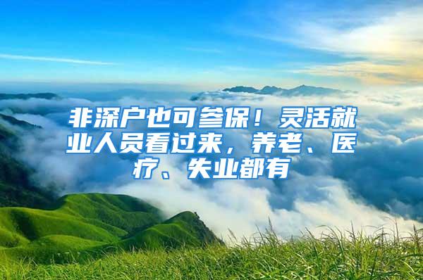 非深户也可参保！灵活就业人员看过来，养老、医疗、失业都有