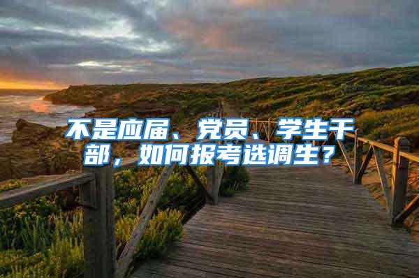 不是应届、党员、学生干部，如何报考选调生？