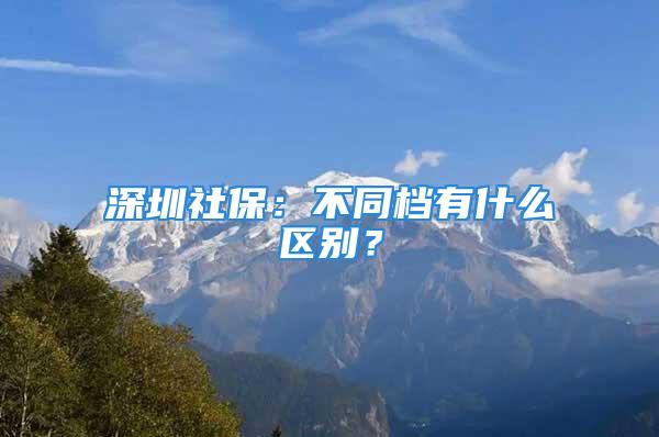 深圳社保：不同档有什么区别？