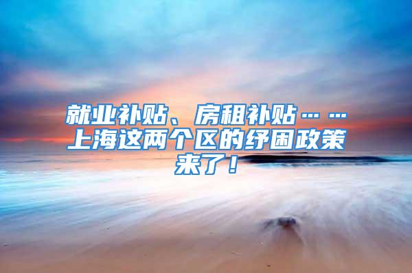 就业补贴、房租补贴……上海这两个区的纾困政策来了！