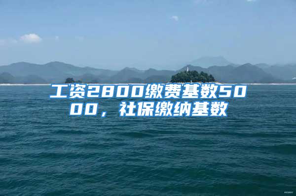 工资2800缴费基数5000，社保缴纳基数