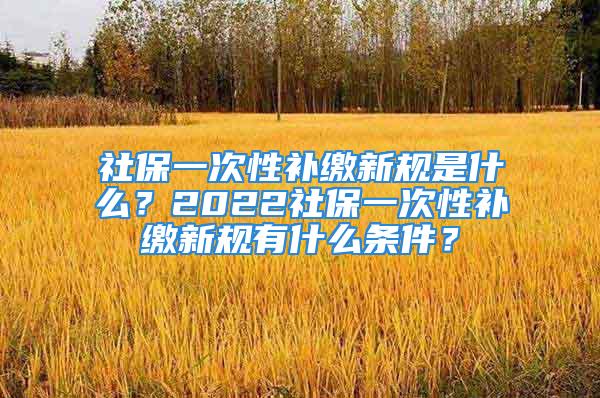 社保一次性补缴新规是什么？2022社保一次性补缴新规有什么条件？