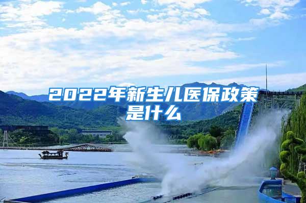 2022年新生儿医保政策是什么