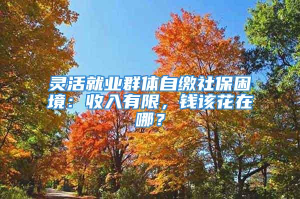 灵活就业群体自缴社保困境：收入有限，钱该花在哪？