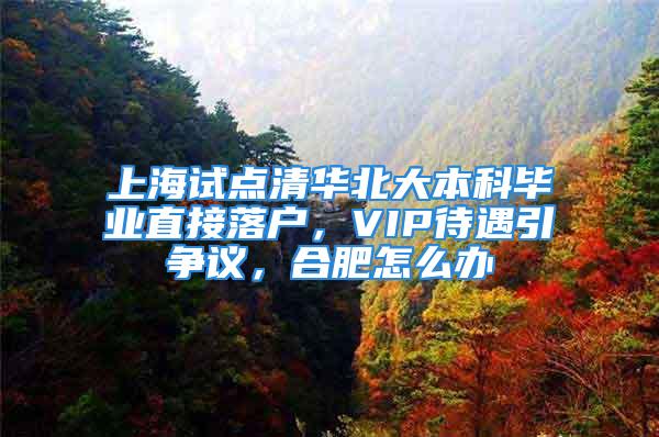 上海试点清华北大本科毕业直接落户，VIP待遇引争议，合肥怎么办