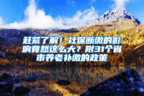 赶紧了解！社保断缴的影响竟然这么大？附31个省市养老补缴的政策