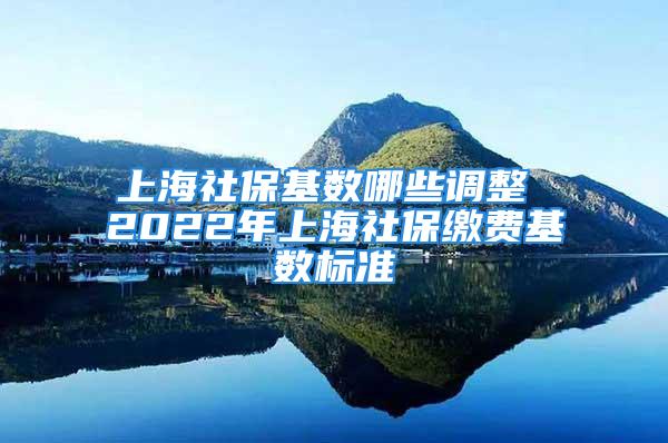 上海社保基数哪些调整 2022年上海社保缴费基数标准