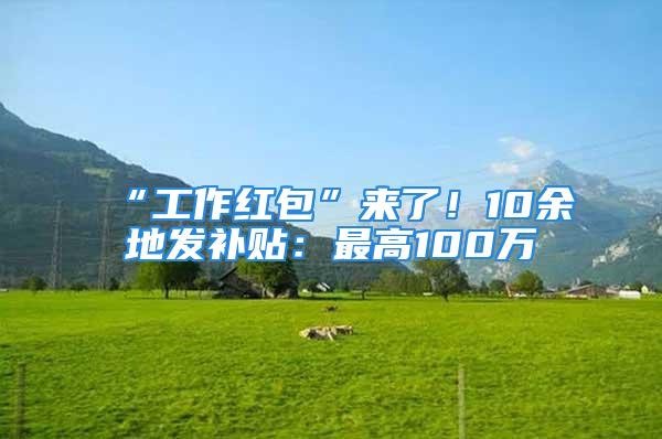 “工作红包”来了！10余地发补贴：最高100万