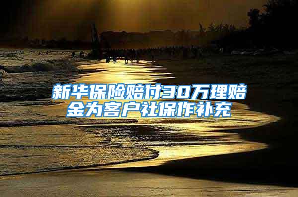 新华保险赔付30万理赔金为客户社保作补充