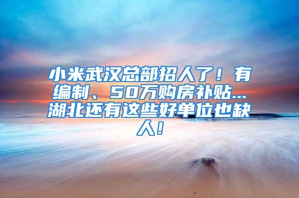 小米武汉总部招人了！有编制、50万购房补贴...湖北还有这些好单位也缺人！