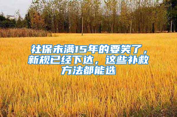 社保未满15年的要笑了，新规已经下达，这些补救方法都能选