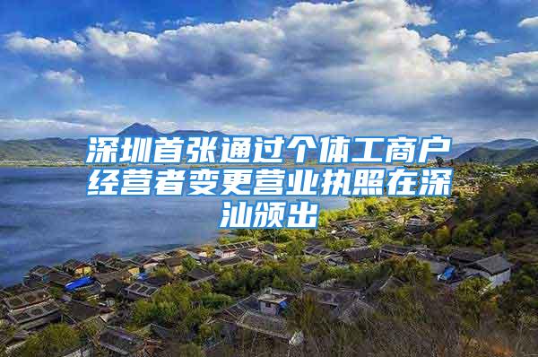 深圳首张通过个体工商户经营者变更营业执照在深汕颁出