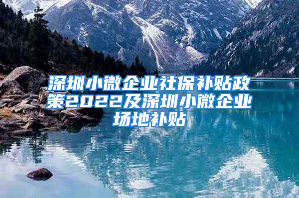 深圳小微企业社保补贴政策2022及深圳小微企业场地补贴